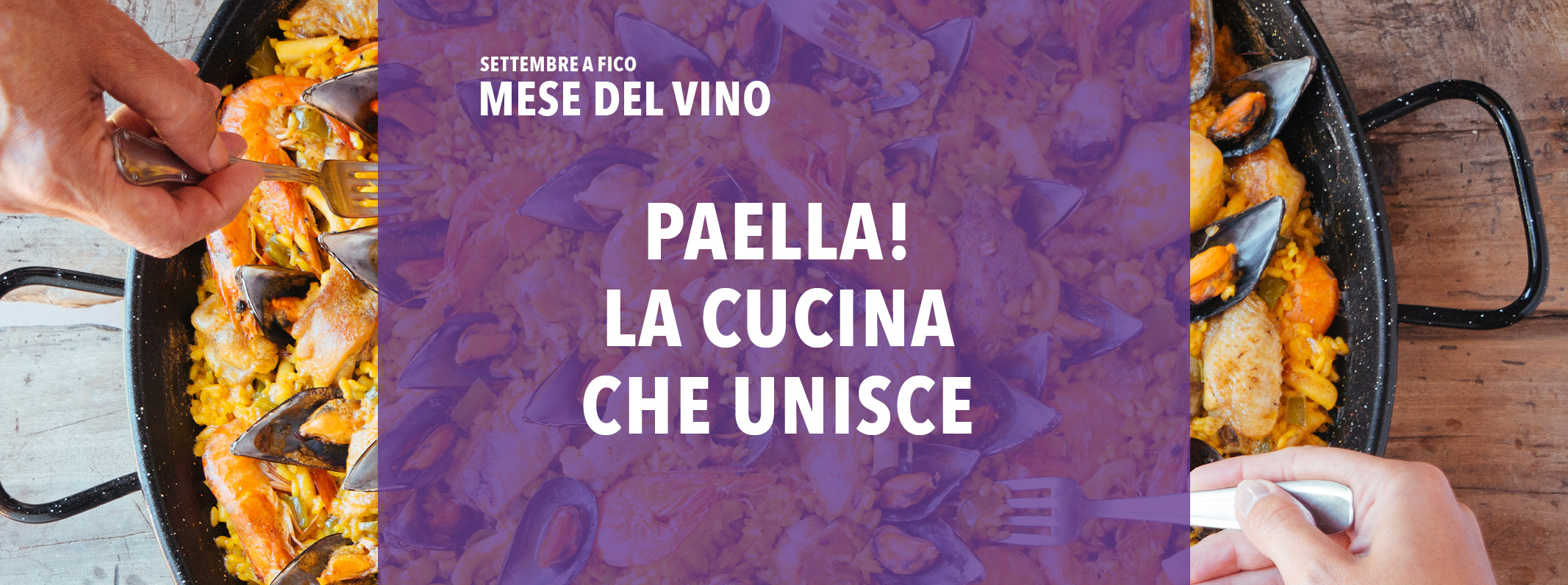 Paella! Storia, aneddoti e decalogo da compagnia