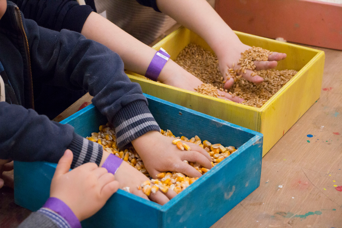 FICO Summer Camp e FICO Summer School