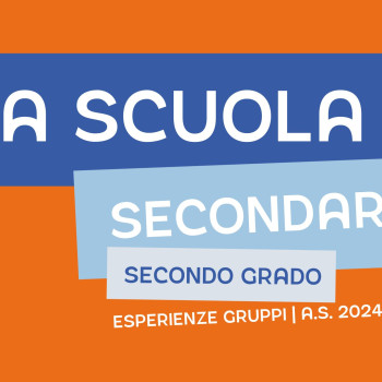 Secondary school II level