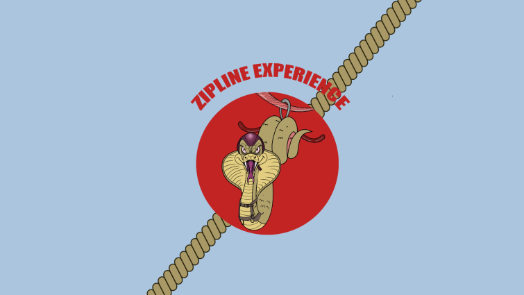 Zip Line Experience - 1 ride