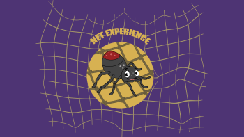 Net Experience - 1 ora