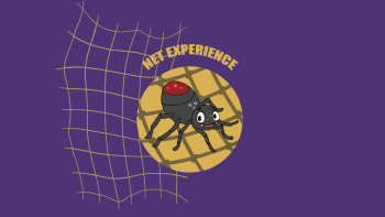 Net Experience: 30 minuti